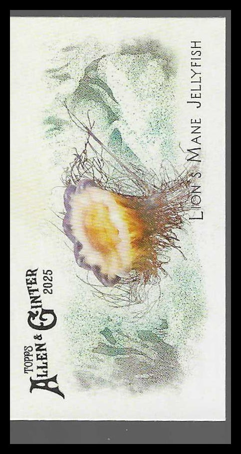 2025 Topps A & G Mini 50 Fish Global Waters #FGW-42 Lion's Mane Jellyfish